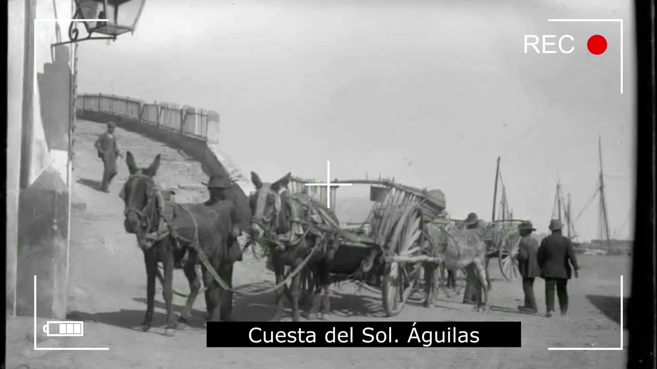 HISTORIA DE ÁGUILAS