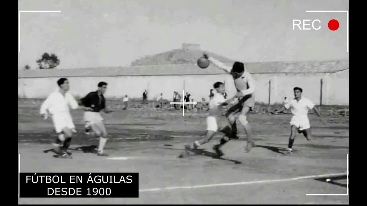 HISTORIA DE ÁGUILAS