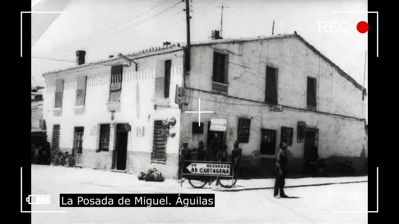 HISTORIA DE ÁGUILAS