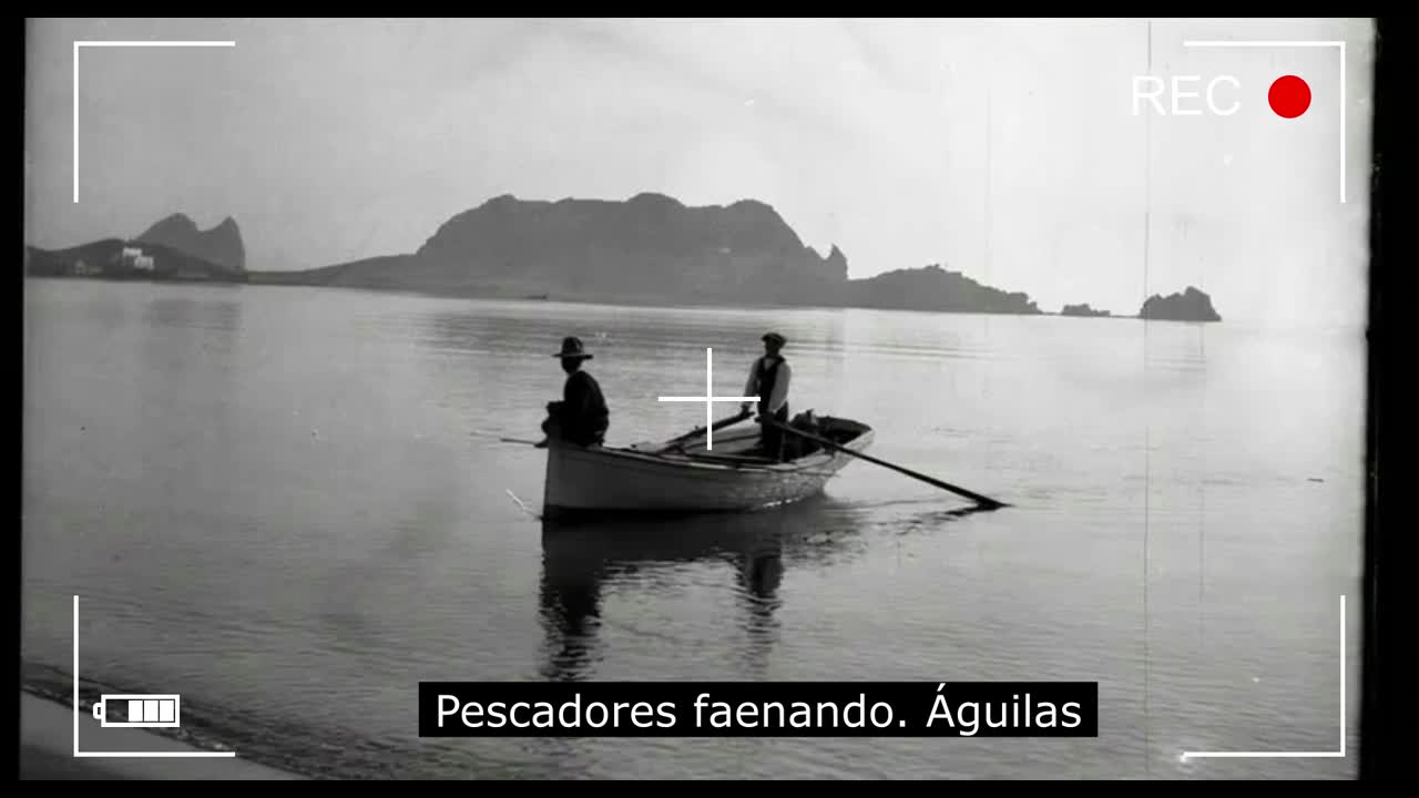 HISTORIA DE ÁGUILAS