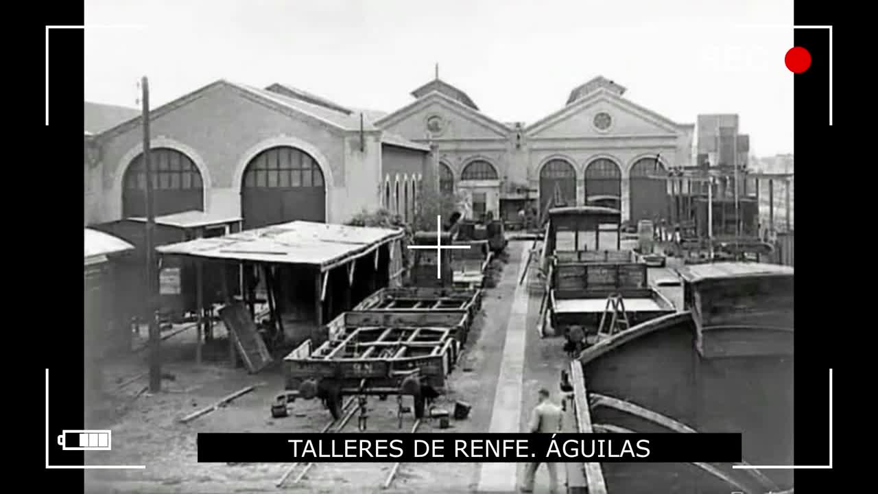 HISTORIA DE ÁGUILAS