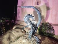 SUELTA MUSSONA 2026 1