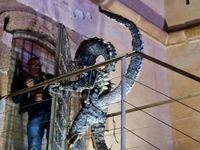 SUELTA MUSSONA 2026 3