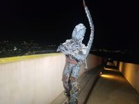 SUELTA MUSSONA 2026 5