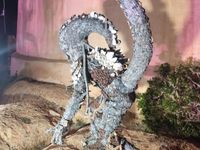 SUELTA MUSSONA 2026 6