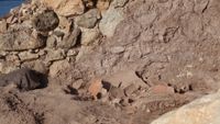 ISLA DEL FRAILE EXCAVACIONES 2026 7