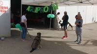 exhibicion canina aguiproan 1