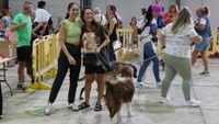 exhibicion canina aguiproan 6