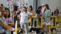 exhibicion canina aguiproan 9