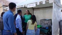 FERIA ASOCIACIONES 8