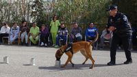 EXHIBICION UNIDAD CANINA POLICIA CENTRO OCUP 10