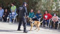EXHIBICION UNIDAD CANINA POLICIA CENTRO OCUP 4