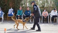 EXHIBICION UNIDAD CANINA POLICIA CENTRO OCUP 5