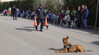 EXHIBICION UNIDAD CANINA POLICIA CENTRO OCUP 8