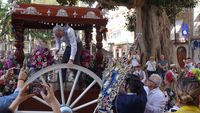 ROMERIA 05